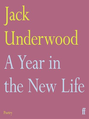 cover image of A Year in the New Life